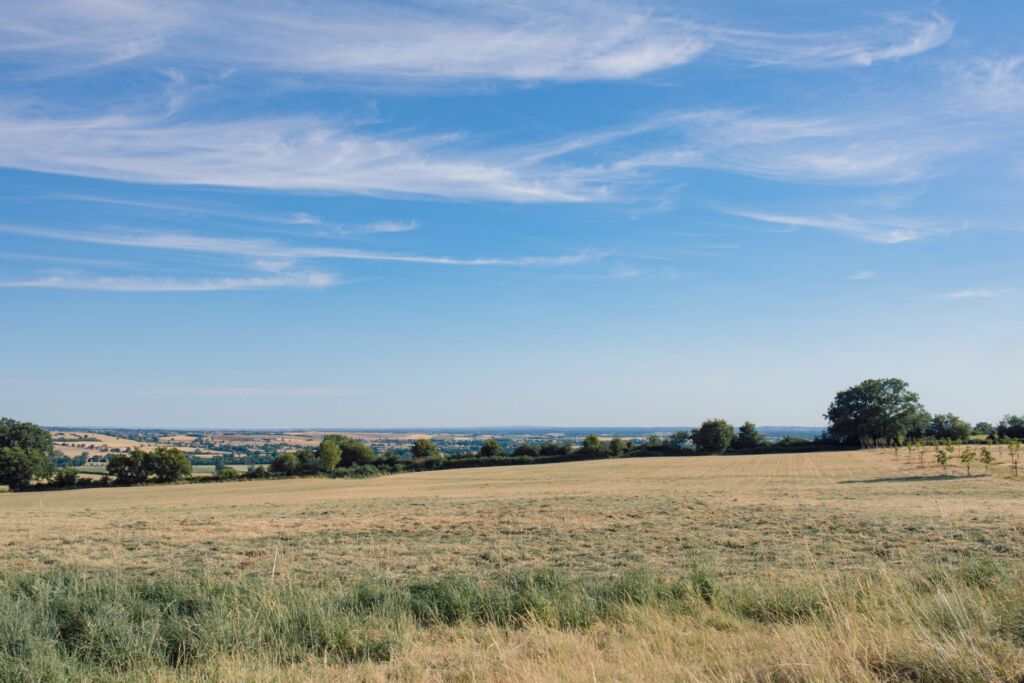 d1791-champs-horizon-berry Paysage autour des Morins, Saint-Pierre-les-Étieux